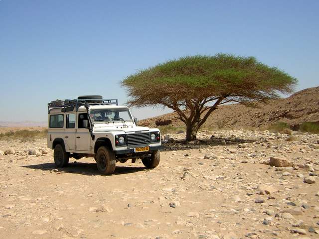 Mitzpe Ramon Crater Jeep Tours Negev Israel Guided tours , Hiking , Stargazing , attractions